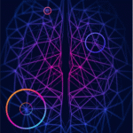 Bài viết về dự án